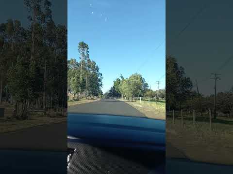 passeio em Alfredo Marcondes