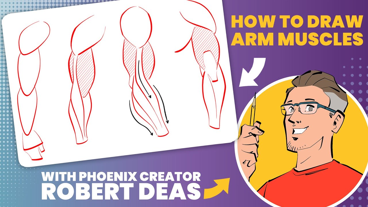 How to draw arm muscles