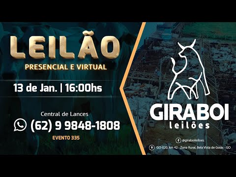 Leilão Gado de Corte - Giraboi Leilões 13/01/2026 Bela Vista de Goiás