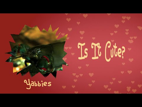 Australian Freshwater Yabbies, are they cute or metal?