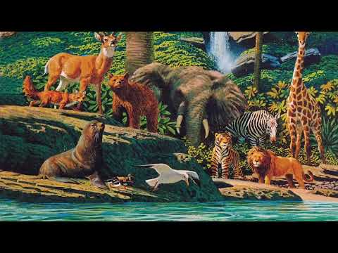 Ó Criaturas do Senhor - Alto