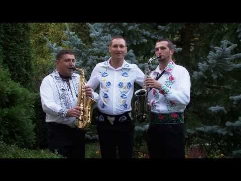 Ovidiu Peica-Mirii nostrii si nanasii