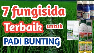 Download lagu Fungisida Paling Ampuh Untuk Padi Bunting mp3 Download lagu Fungisida Paling Ampuh Untuk Padi Bunting mp3