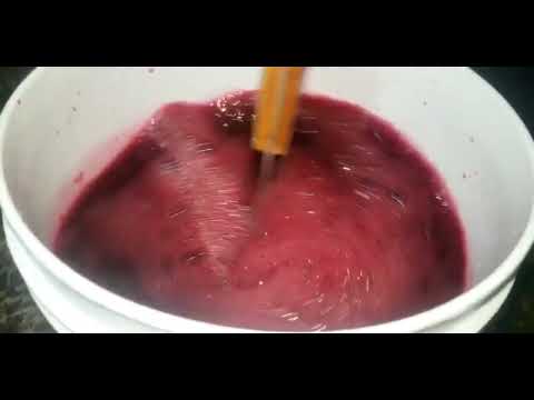 HOW TO MAKE JAMAICAN AUTHENTIC SORREL DRINK WITH RIBENA