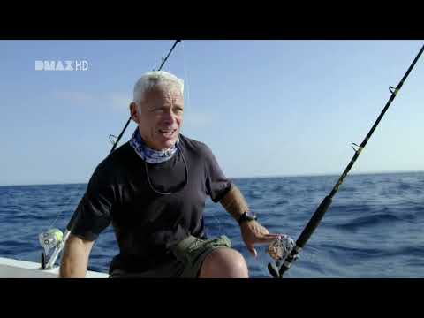 Fluss Monster Der Humboldt Kalmar HD