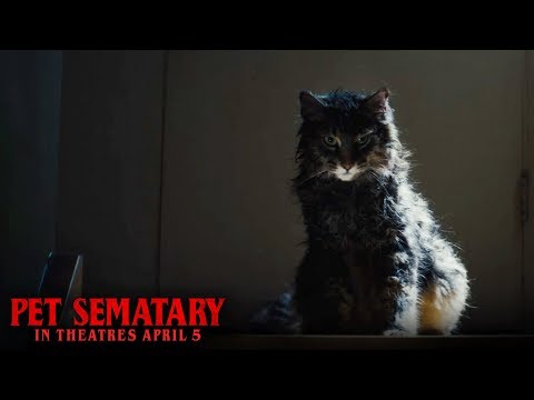 Pet Sematary (TV Spot 'Dead Digital')