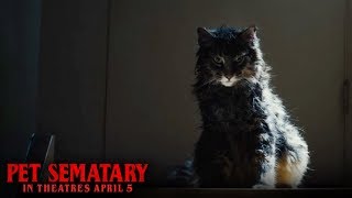 Pet Sematary (2019) Video