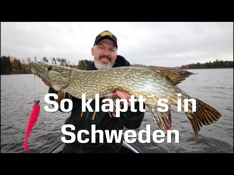Successful pike fishing in Sweden - these are the tips you should know