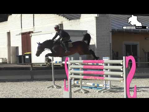 CLEONIA - 9j. St. v. Conthargos - Silvio I