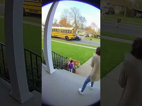 Unbelievable Rescue: Dog Saves Girl from Speeding Car!