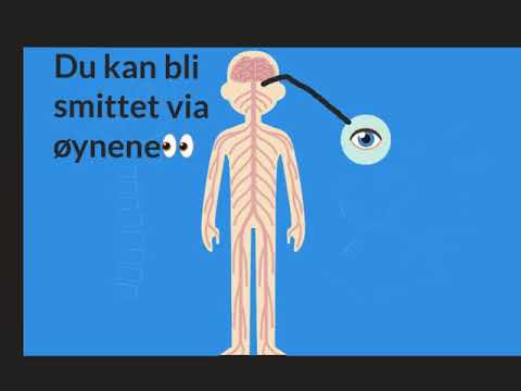 Virus inni en kropp | hvordan bli smittet | forklaring for barn