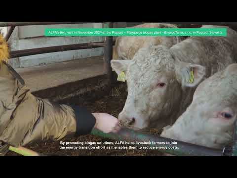 Progetto ALFA: il progetto europeo che promuove l'adozione del biogas 
