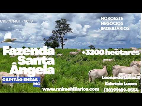 FAZENDA À VENDA | CAPITÃO ENÉAS/MG | FAZENDA SANTA ANGELA