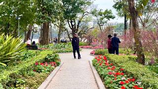 Lunar New Year Morning Walk at Hoan Kiem Lake, Hanoi Vietnam…