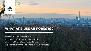 What are urban forests?