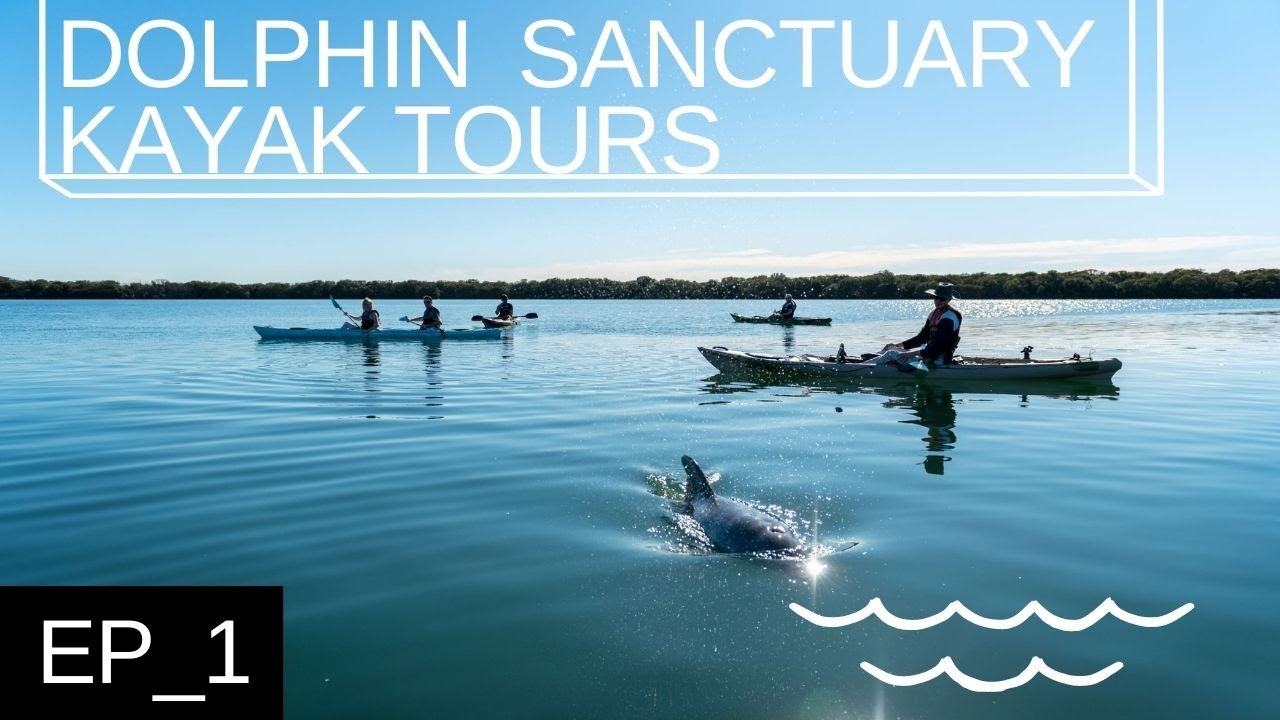 Discover the highlights of Dolphin Sanctuary Kayak Tour.