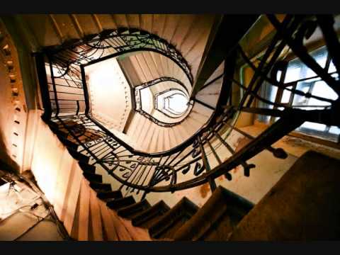 Herbivoros Contaminados - Illusions