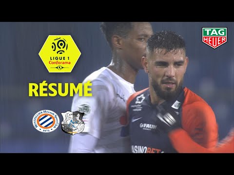 Montpellier Hérault SC - Amiens SC (4-2) - Summary - (MHSC - ASC) / 2019-20