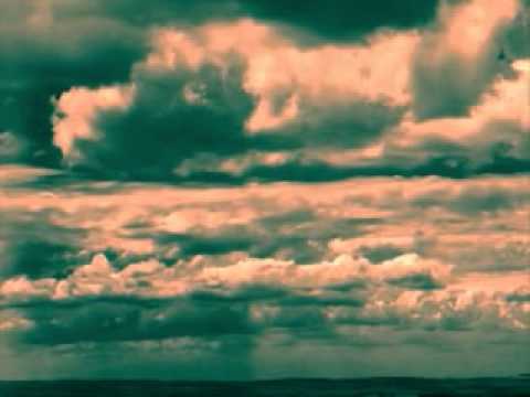 Tamers of Flowers - Krajiny