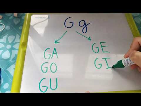 G  sonido fuerte y suave