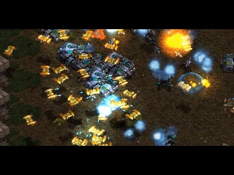 HECKIN' BEES!!! Bisu! 🇰🇷 (P) vs Flash! 🇰🇷 (T) on Citadel - StarCraft - Brood War Remastered - 2025
