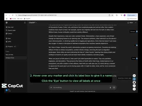 Item video thumbnail