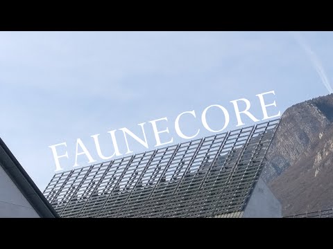 Zeroblizero - fauneCORE