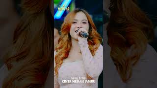 Download lagu AJENG FEBRIA - CINTA MERAH JAMBU sudah tayang Ytc MAHESA #mahesamusic #dangdut mp3 Download lagu AJENG FEBRIA - CINTA MERAH JAMBU sudah tayang Ytc MAHESA #mahesamusic #dangdut mp3