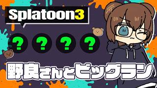 ビッグランが来た！クリア目指してがんばるぞ！【 サーモンランNW 】