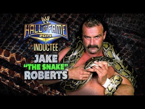 Former Pro Wrestler Jake The Snake Roberts Hospitalized Former Pro Wrestler Jake The Snake Roberts Hospitalized