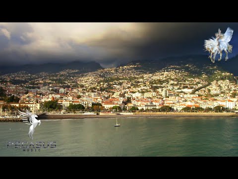 David Surok - Restless (Original Mix) [Pegasus Music]