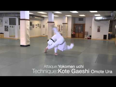 Test 3 kyu Aikido USAF
