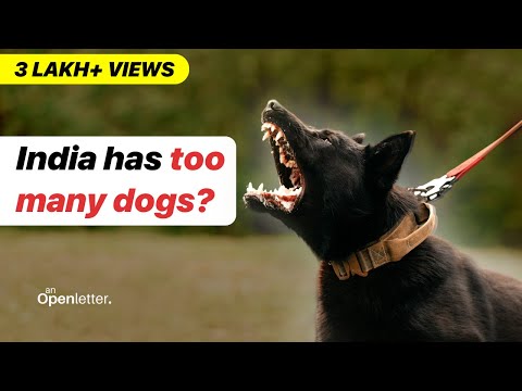 India has a HUGE Stray Dog Problem, Here is Why | An Open Letter