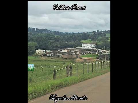 ANTIGA FAZENDA CAFEEIRA EM CARVALHOPOLIS MG