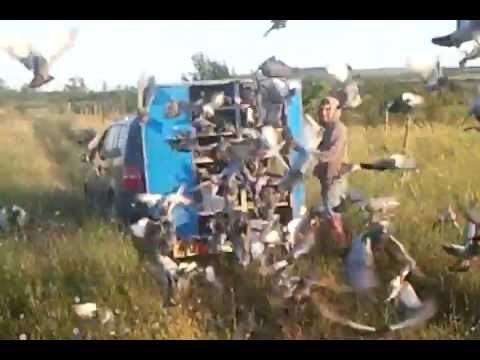 COLUMBODROM HONEST RACE-ANTRENAMENT - 60Km