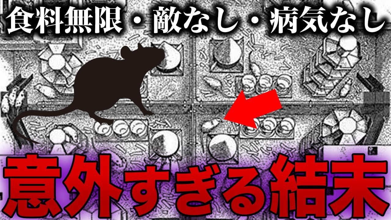 【楽園実験】人類が確実に滅亡する理由がヤバ過ぎた…