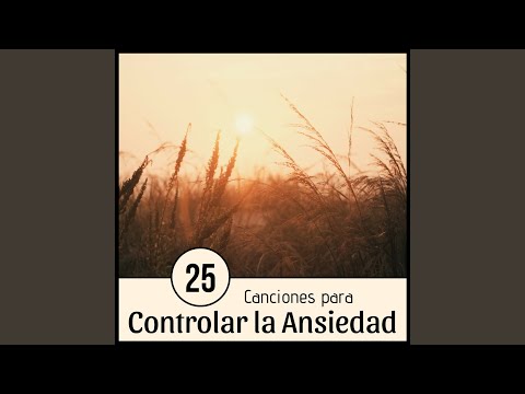 25 Canciones para Controlar la Ansiedad