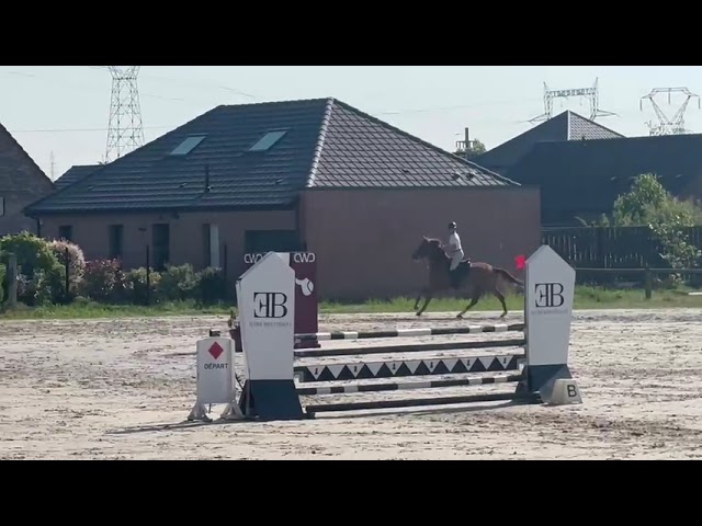 KELLE STAR DU COMTE