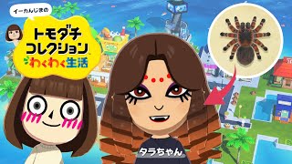 【トモコレ】平和な島にタランチュラ参戦！あつ森の危険な存在はこの島でも危険なのか！？【トモダチコレクションわくわく生活 #5】