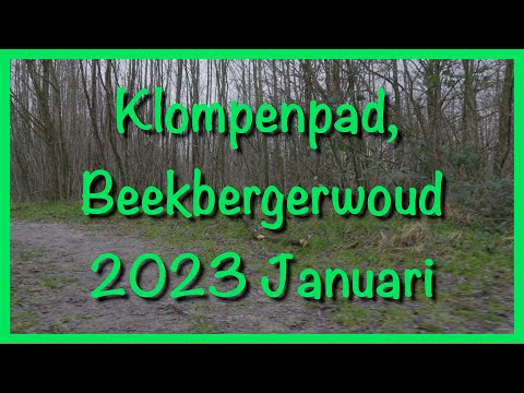Klompenpad Beekbergerwoud   vs 2 kort