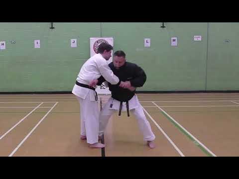 Goju Ryu Bunkai Applications