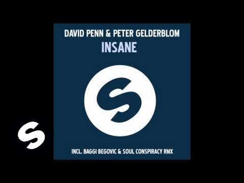 David Penn & Peter Gelderblom - Insane (Baggi Begovic & Soul Conspiracy Remix)