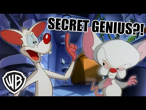 Pinky & The Brain moments that make me question who's REALLY the genius | Animaniacs @GenerationWB
