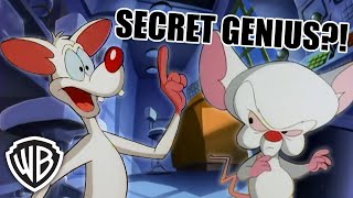 Pinky &amp; The Brain moments that make me question who&#39;s REALLY the genius | Animaniacs @GenerationWB