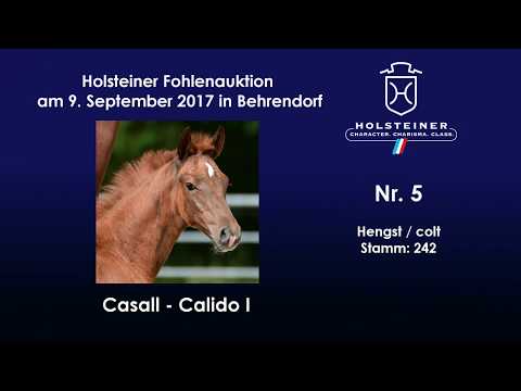 Nr. 5 v. Casall - Calido I