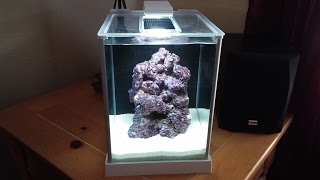 How to setup a Pico Reef Tank - Fluval SPEC 3 - Day 1