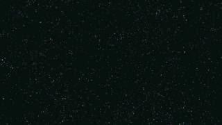 Last Will and Testament 1