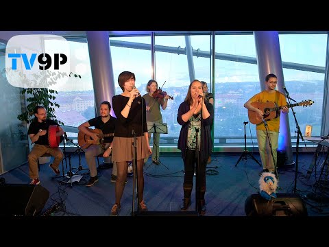 TV9P - FIT a Cheeky Sheep