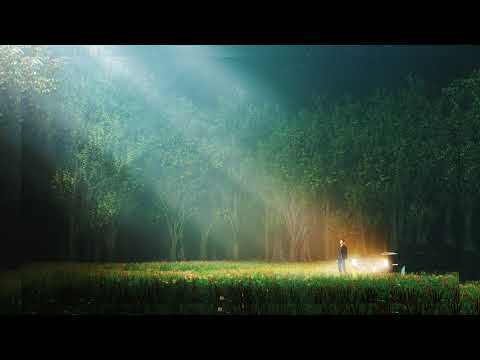 NGHTMRE & Carmada - Embrace (feat. Xavier Dunn) [Official Full Stream]
