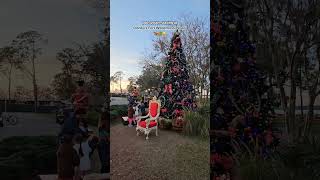 Cabins, golf carts, campfires, and that peaceful Disney magic 🏕️✨